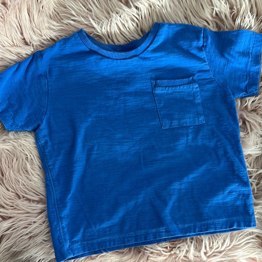 Blue Zara Tee